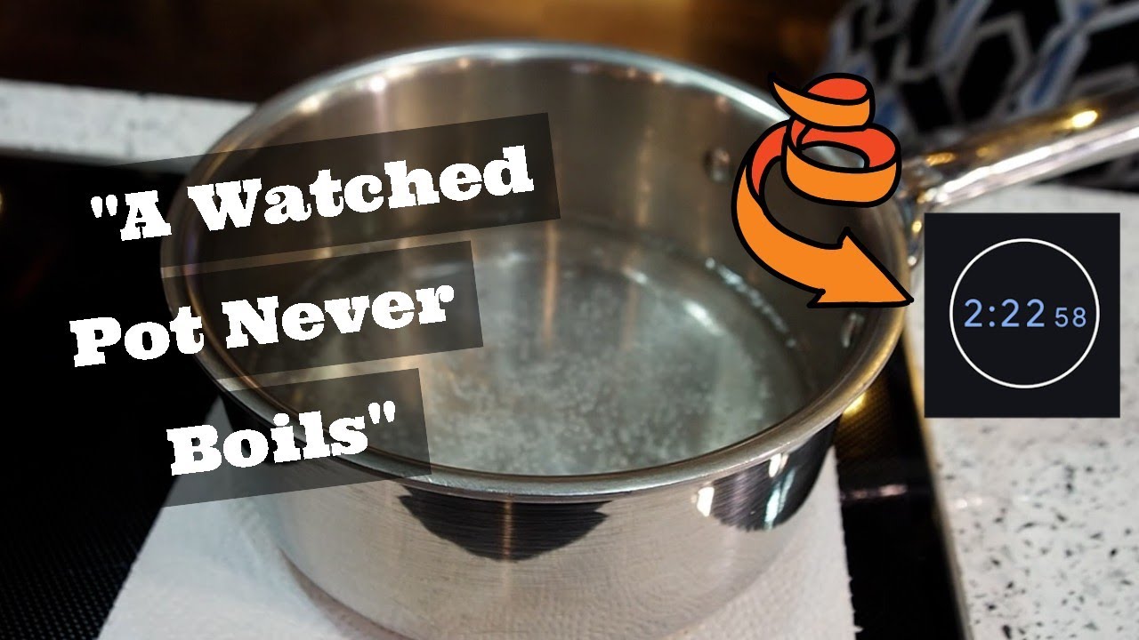 A Watched Pot Never Boils – Green Building Myth Busting with Wolf Induction Cooktops