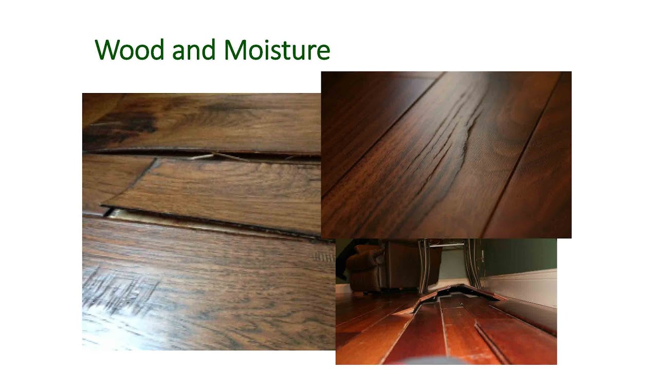 Humidity, Hardwoods and Homes – The Building Science Approach to Protecting your Investment