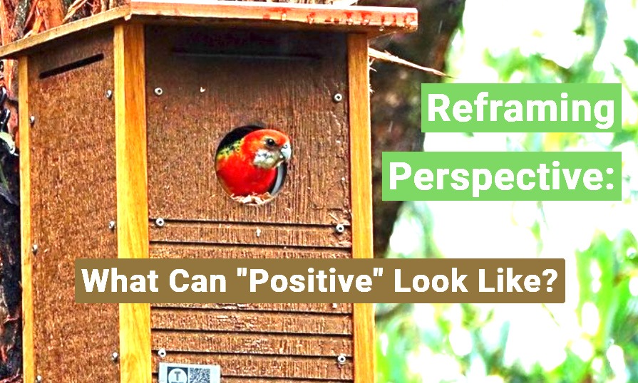 What can positive look like?